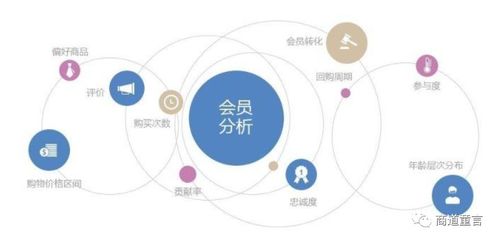 創(chuàng)新引擎 驅動企業(yè)數(shù)字化轉型與網(wǎng)絡技術服務的核心動力