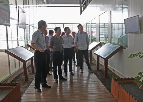 光明食品集團深入調研星輝蔬菜產業發展，助力市場戰略優化